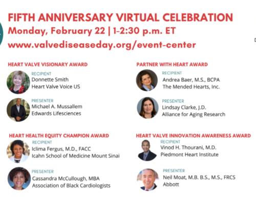 VDD Celebrates 5 Year Anniversary